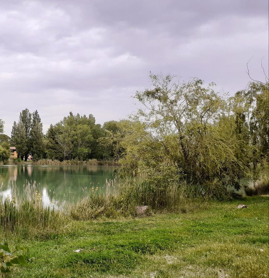 Studio 24 M2 - Hameaux De Camargue - Village 9 - 13200 Arles Bagian luar foto